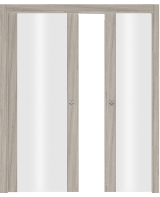 Double-leaf, Glazed Pocket Sliding Door