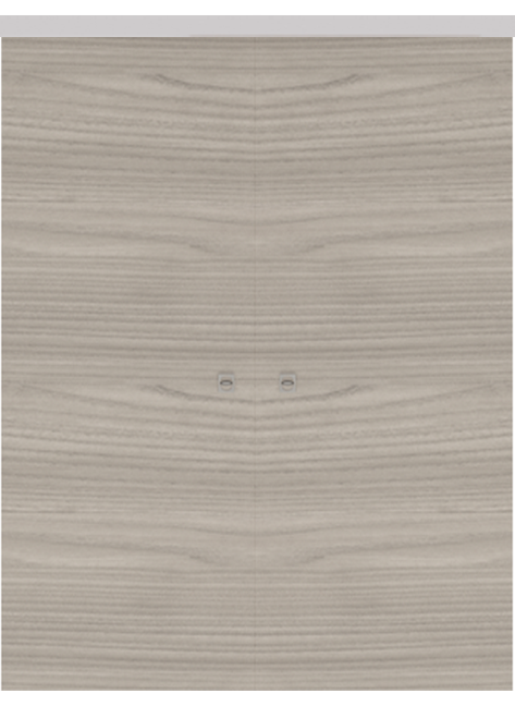 Double-leaf, Solid Wall Sliding Door