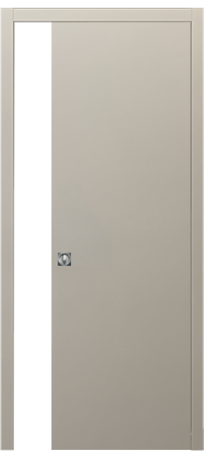 Single-leaf, Solid Pocket Sliding Door