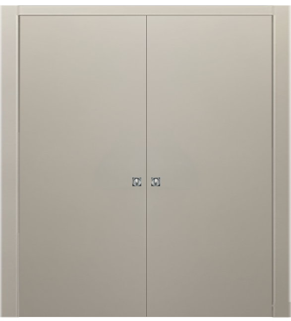 Double-leaf, Solid Pocket Sliding Door