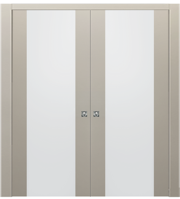 Double-leaf, Glazed Pocket Sliding Door