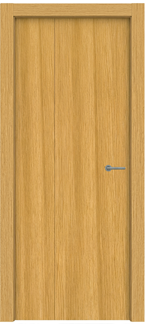 1/3 – 2/3 Folding Door