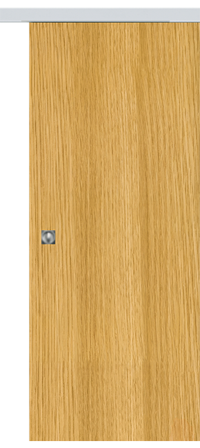 Single-leaf, Solid Wall Sliding Door