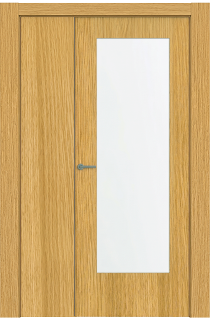 Double-leaf, Hinged Door with 1 vision panel