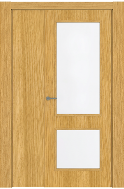Double-leaf, Hinged Door with 2 vision panel