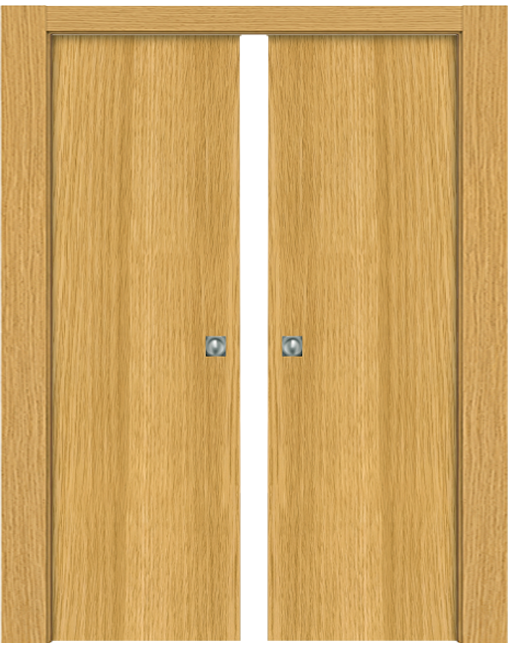 Double-leaf, Solid Pocket Sliding Door
