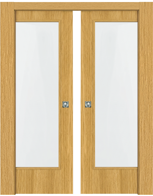 Double-leaf, Pocket Sliding Door with 1 vision panel