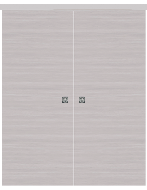 Double-leaf, Solid Wall Sliding Door