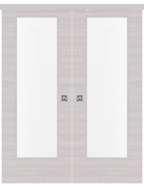 Double-leaf, Wall Sliding Door with 1 vision panel