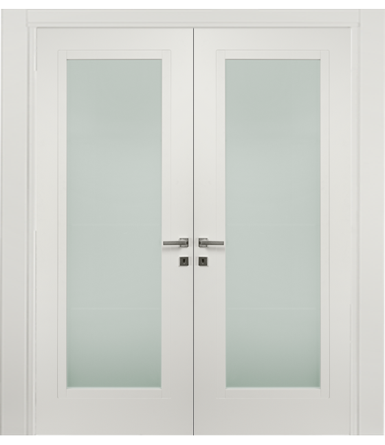 Double-leaf, Hinged Door with glass DIS101