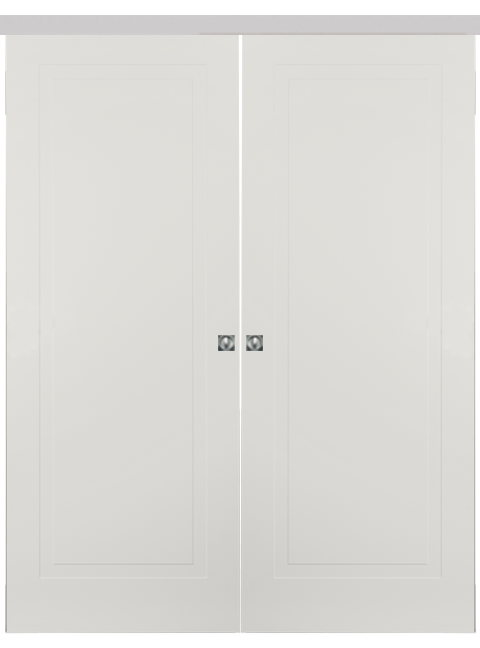 Double-leaf, Solid Wall Sliding Door DIS101