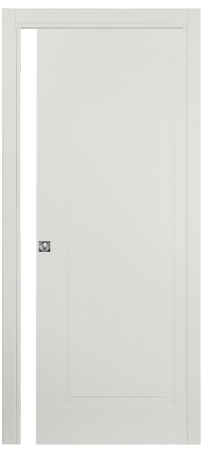 Single-leaf, Solid Pocket Sliding Door DIS101