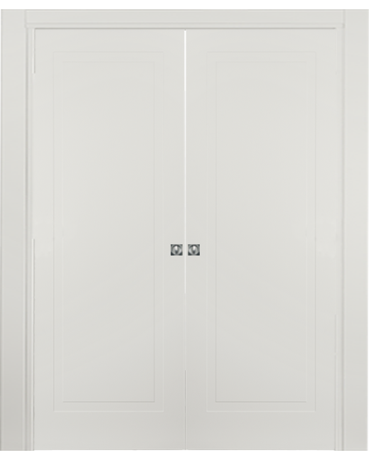 Double-leaf, Solid Pocket Sliding Door DIS101