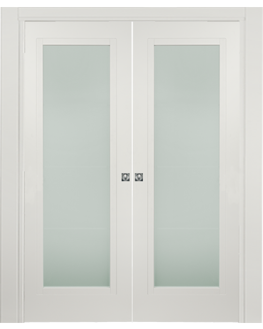 Double-leaf, Pocket Sliding Door with glass DIS101