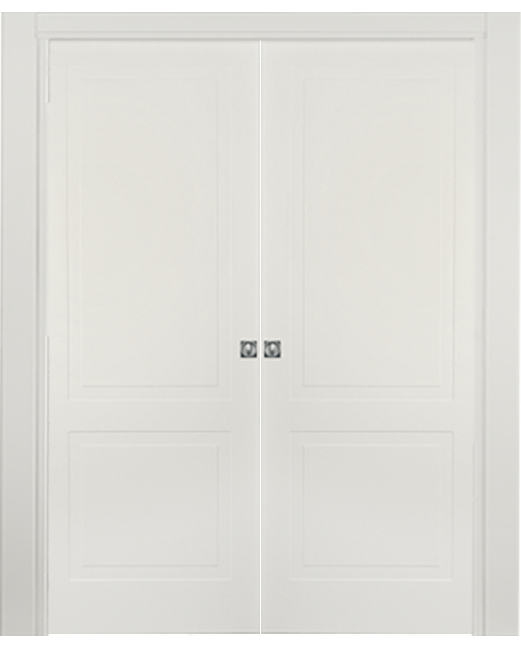 Double-leaf, Solid Pocket Sliding Door DIS102