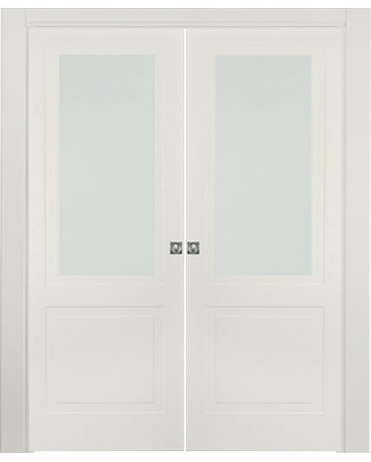 Double-leaf, Pocket Sliding Door with glass DIS102